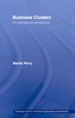 Business Clusters: An International Perspective de Martin Perry