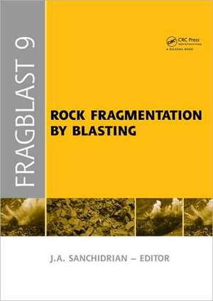 Rock Fragmentation by Blasting: Proceedings of the 9th Int. Symp. on Rock Fragmentation by Blasting - Fragblast 9, Sept. 2009, Granada Spain de Jose A. Sanchidrian