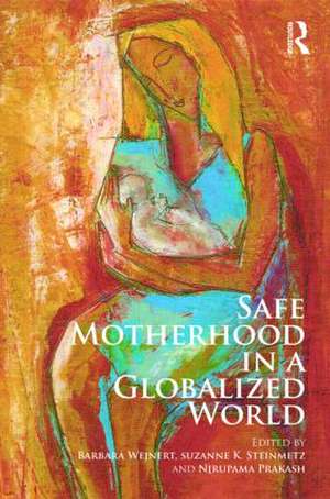 Safe Motherhood in a Globalized World de Barbara Wejnert