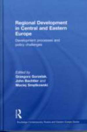 Regional Development in Central and Eastern Europe: Development processes and policy challenges de Grzegorz Gorzelak