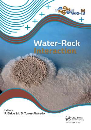 Water-Rock Interaction XIII de Peter Birkle