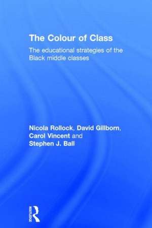 The Colour of Class: The educational strategies of the Black middle classes de Nicola Rollock