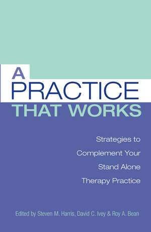 A Practice that Works: Strategies to Complement Your Stand Alone Therapy Practice de Steven M. Harris, Ph.D