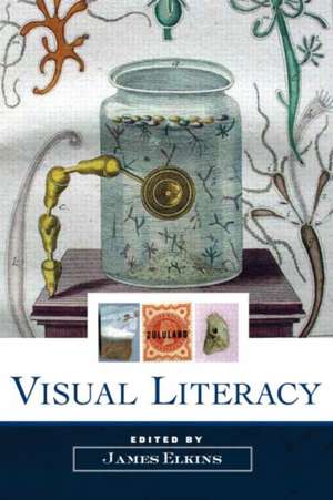 Visual Literacy de James Elkins