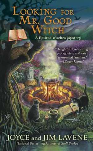 Looking for Mr. Good Witch de Joyce Lavene