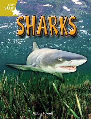 Rigby Star Independent Year 2 Gold Non Fiction Sharks Single de Jillian Powell