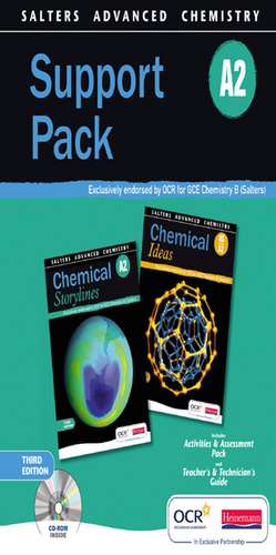 Salters Advanced Chemistry: Support Pack A2 de Mr Derek Denby