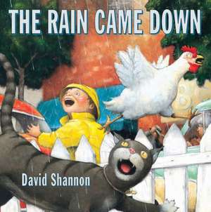 The Rain Came Down de David Shannon