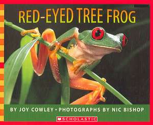 Red-Eyed Tree Frog de Joy Cowley