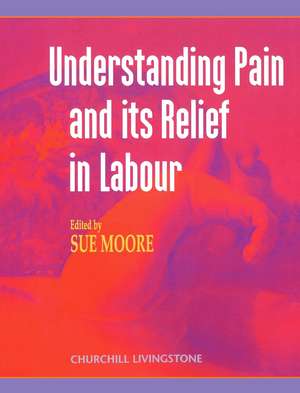 Understanding Pain and Its Relief in Labour de Sue Moore