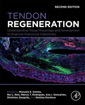 Tendon Regeneration: Understanding Tissue Physiology and Development to Engineer Functional Substitutes de Manuela E. Gomes