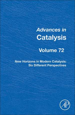 New Horizons in Modern Catalysis: Five Different Perspectives de Montserrat Diéguez