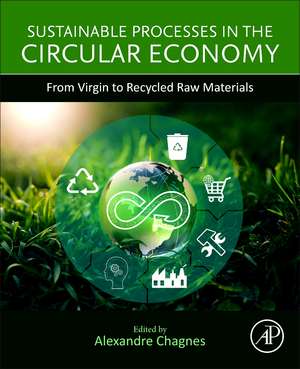 Sustainable Processes in the Circular Economy: From Virgin to Recycled Raw Materials de Alexandre Chagnes