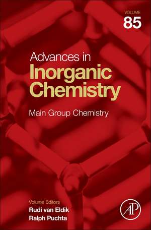 Main Group Chemistry de Ralph Puchta