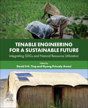 Tenable Engineering for a Sustainable Future: Integrating SDGs and Natural Resource Utilization de David S-K. Ting