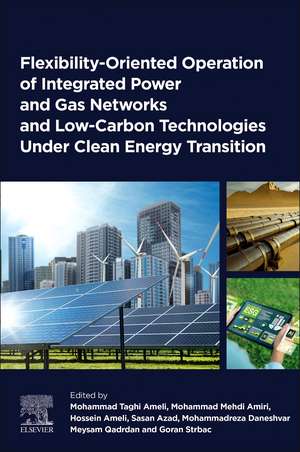 Flexibility-Oriented Operation of Integrated Power and Gas Networks and Low-Carbon Technologies Under Clean Energy Transition de Mohammad Taghi Ameli