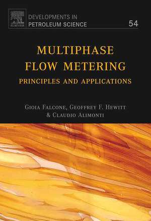 Multiphase Flow Metering: Principles and Applications de Gioia Falcone