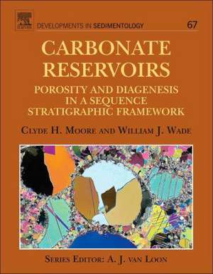 Carbonate Reservoirs: Porosity and Diagenesis in a Sequence Stratigraphic Framework de Clyde H. Moore