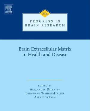 Brain Extracellular Matrix in Health and Disease de Alexander Dityatev