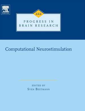 Computational Neurostimulation de Sven Bestmann