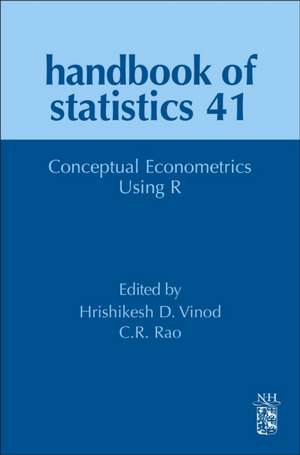 Conceptual Econometrics Using R de C. R. Rao