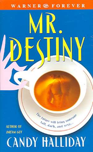 Mr. Destiny de Candy Halliday