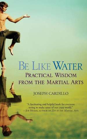 Be Like Water: Practical Wisdom from the Martial Arts de Joseph Cardillo