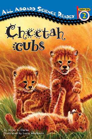 Cheetah Cubs de Ginjer L. Clarke