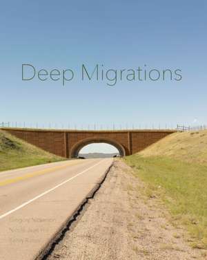Deep Migrations de Hill