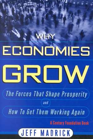 Why Economies Grow de Jeff Madrick