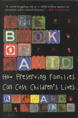 The Book of David: How Preserving Families Can Cost Children's Lives de Richard J. Gelles