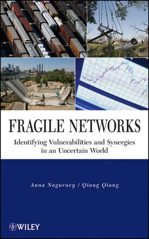 Fragile Networks de Anna Nagurney