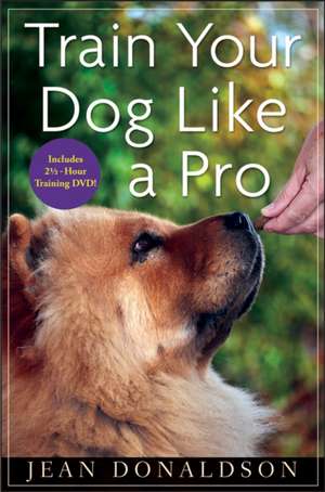 Train Your Dog Like a Pro: How Top Endowments and Foundations Turn Small Stocks Into Big Returns de Jean Donaldson