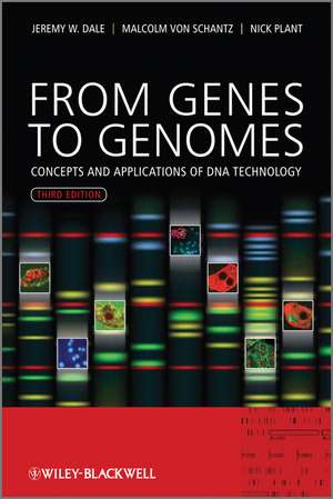 From Genes to Genomes – Concepts and Applications of DNA Technology 3e de JW Dale