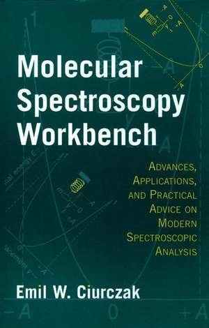 Molecular Spectroscopy Workbench – Advances, Applications & Practical Advice on Modern Spectroscopic Analysis de EW Ciurczak