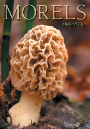 Morels de Michael Kuo