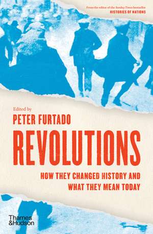 Revolutions: How They Changed History and What They Mean Today de Peter Furtado