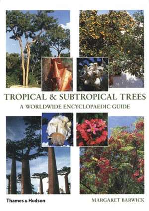 Tropical & Subtropical Trees de Margaret Barwick