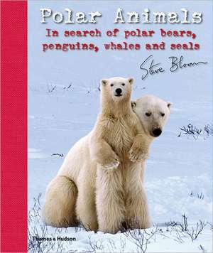 Polar Animals: In Search of Polar Bears, Penguins, Whales and Seals de Steve Bloom