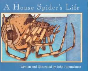 A House Spider's Life de John Himmelman