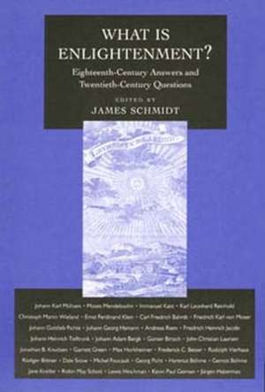 What Is Enlightenment? de James Schmidt