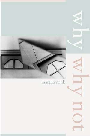 Why/Why Not de Martha Ronk