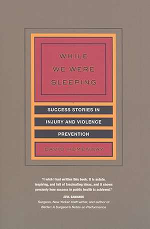 While We Were Sleeping – Success Stories in Injury and Violence Prevention de David Hemenway