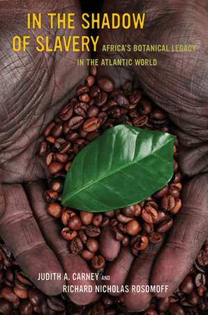 In the Shadow of Slavery – Africa′s Botanical Legacy in the Atlantic World de Judith Carney