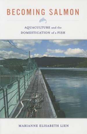 Becoming Salmon – Aquaculture and the Domestication of a Fish de Marianne Elisab Lien