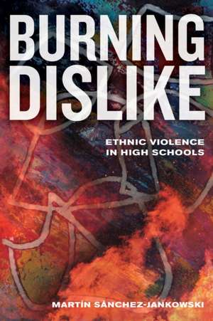 Burning Dislike – Ethnic Violence in High Schools de Martín Sánchez–jankows