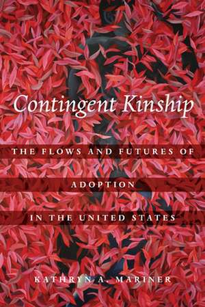 Contingent Kinship – The Flows and Futures of Adoption in the United States de Kathryn A. Mariner