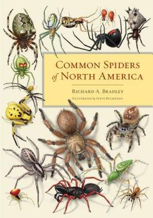 Common Spiders of North America de Richard A. Bradley