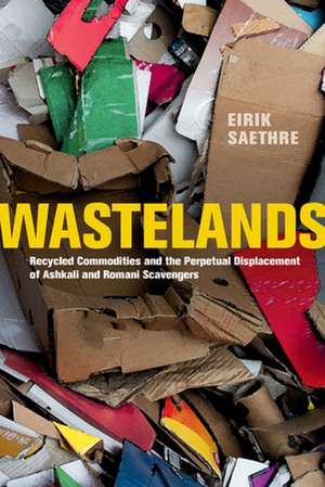 Wastelands – Recycled Commodities and the Perpetual Displacement of Ashkali and Romani Scavengers de Eirik Saethre