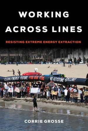 Working across Lines de Corrie Grosse